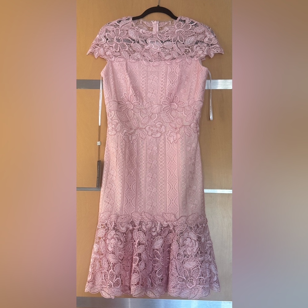 Tadashi Shoji Blush Pink Lace Midi Dress